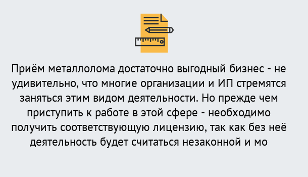 Почему нужно обратиться к нам? Печора Лицензия на металлолом. Порядок получения лицензии. В Печора