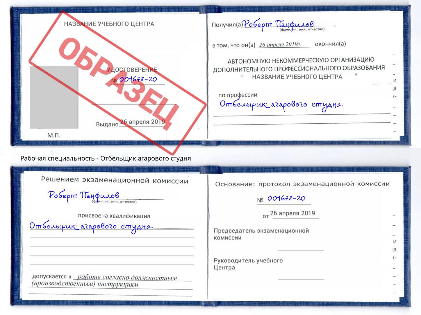 Отбельщик агарового студня Печора