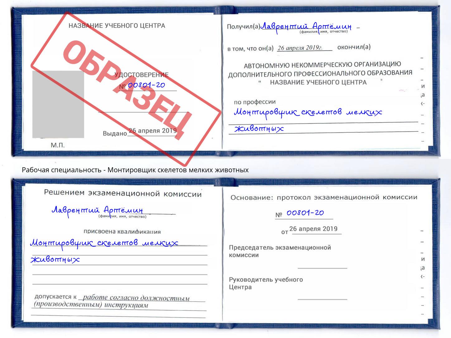 Монтировщик скелетов мелких животных Печора