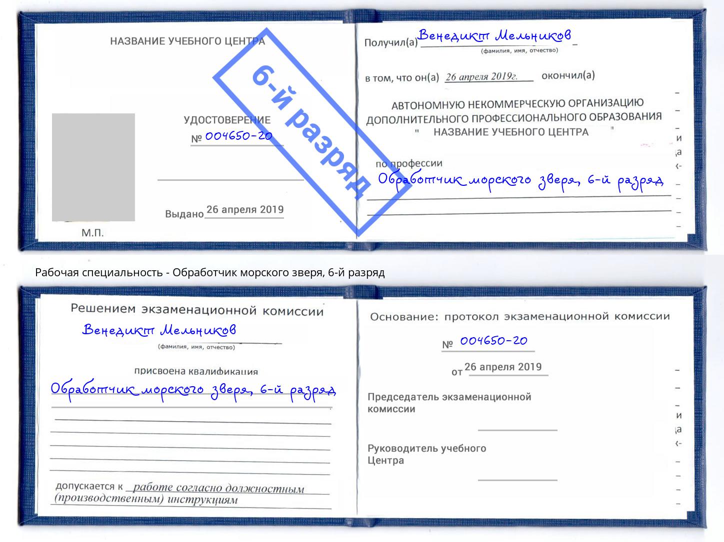корочка 6-й разряд Обработчик морского зверя Печора