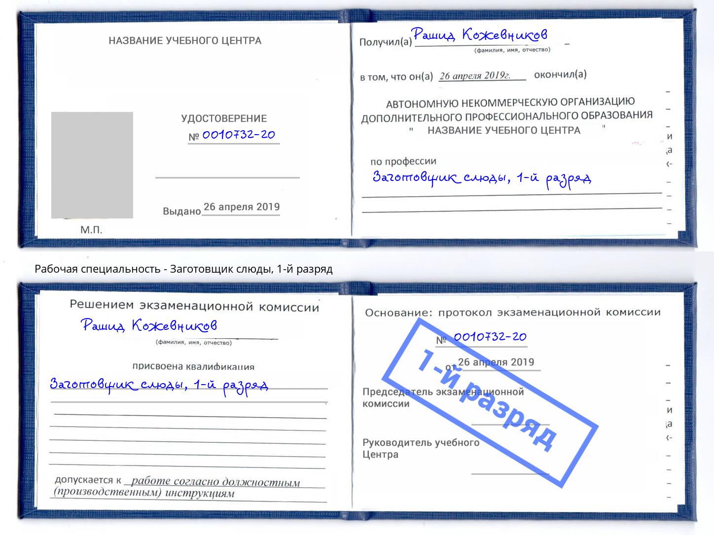 корочка 1-й разряд Заготовщик слюды Печора